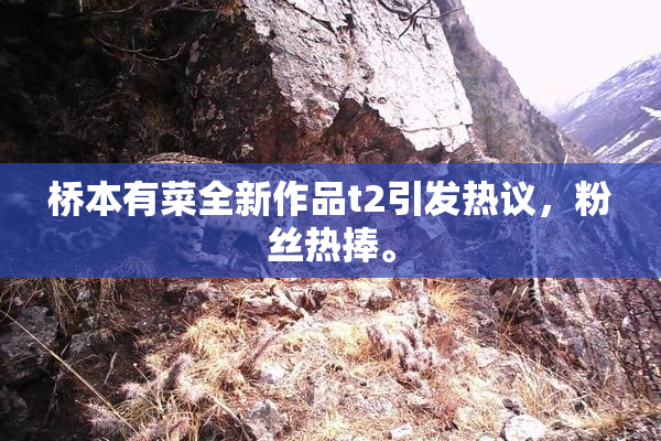 桥本有菜全新作品t2引发热议，粉丝热捧。