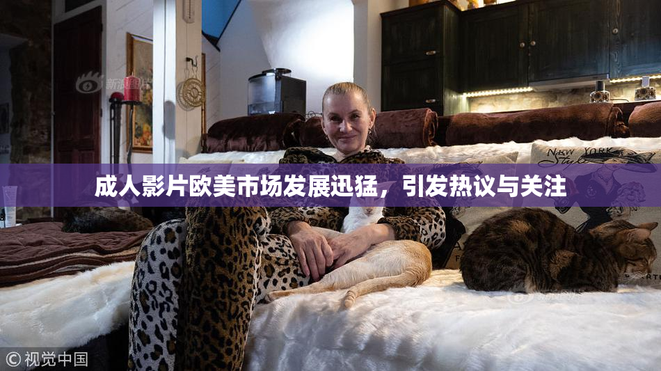 成人影片欧美市场发展迅猛，引发热议与关注