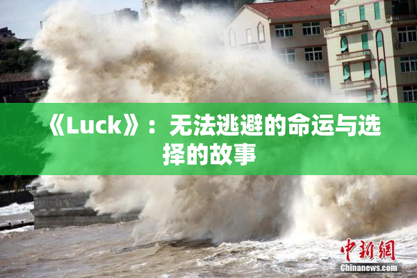 《Luck》：无法逃避的命运与选择的故事