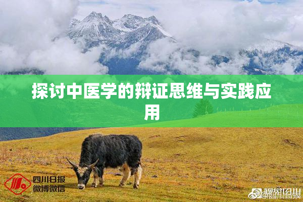 探讨中医学的辩证思维与实践应用