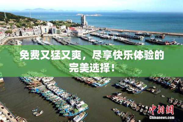 免费又猛又爽，尽享快乐体验的完美选择！
