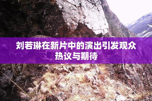刘若琳在新片中的演出引发观众热议与期待