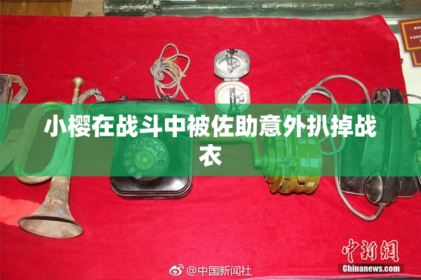 小樱在战斗中被佐助意外扒掉战衣