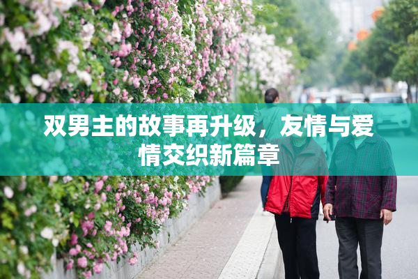 双男主的故事再升级，友情与爱情交织新篇章