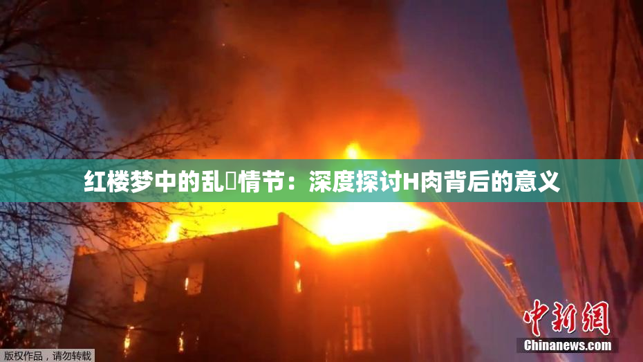 红楼梦中的乱婬情节：深度探讨H肉背后的意义