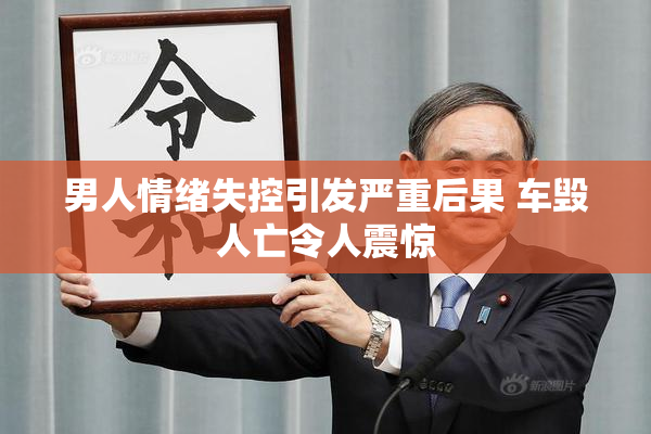 男人情绪失控引发严重后果 车毁人亡令人震惊