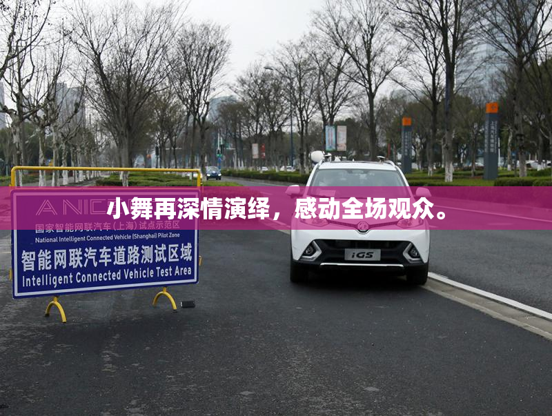 小舞再深情演绎，感动全场观众。