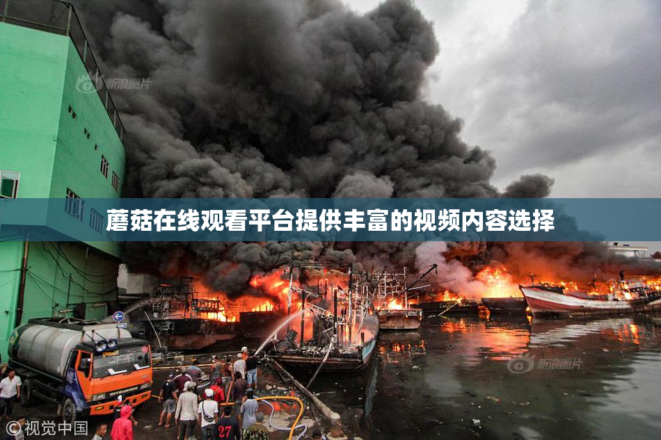 蘑菇在线观看平台提供丰富的视频内容选择