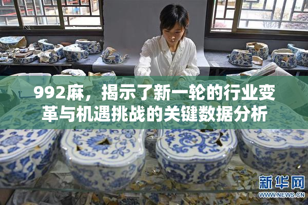 992麻，揭示了新一轮的行业变革与机遇挑战的关键数据分析