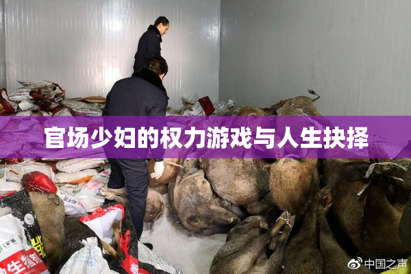 官场少妇的权力游戏与人生抉择