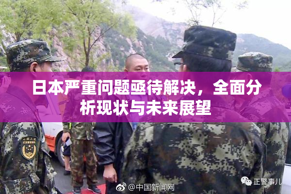 日本严重问题亟待解决，全面分析现状与未来展望