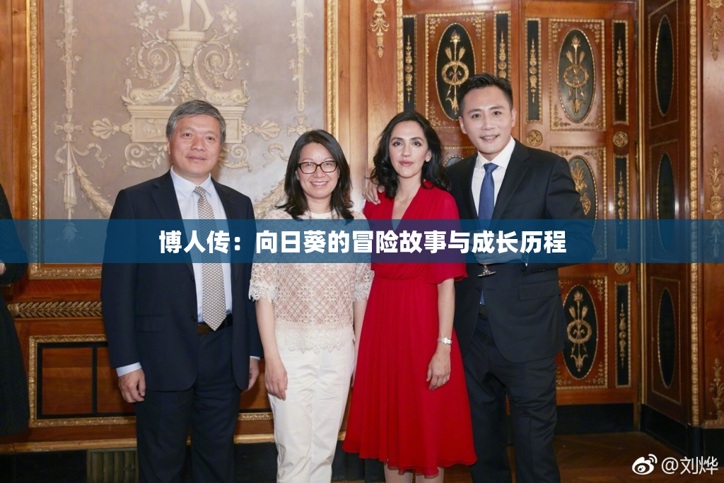 博人传：向日葵的冒险故事与成长历程