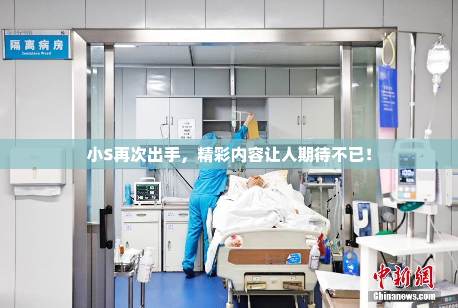 小S再次出手，精彩内容让人期待不已！