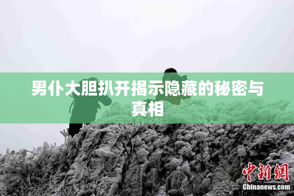男仆大胆扒开揭示隐藏的秘密与真相