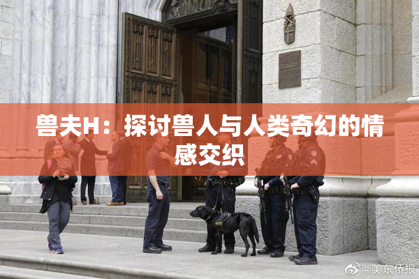 兽夫H：探讨兽人与人类奇幻的情感交织