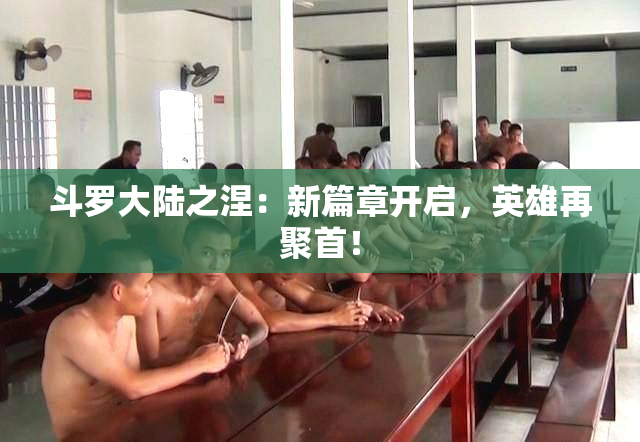 斗罗大陆之涅：新篇章开启，英雄再聚首！