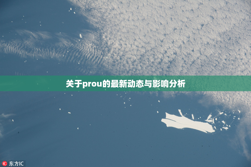 关于prou的最新动态与影响分析