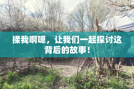 揉我啊嗯，让我们一起探讨这背后的故事！