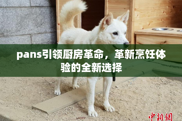 pans引领厨房革命，革新烹饪体验的全新选择