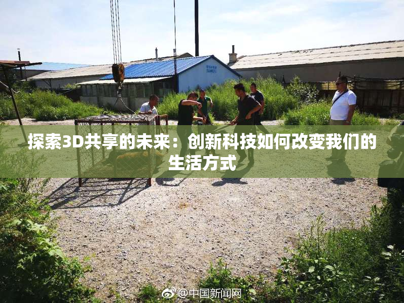 探索3D共享的未来：创新科技如何改变我们的生活方式