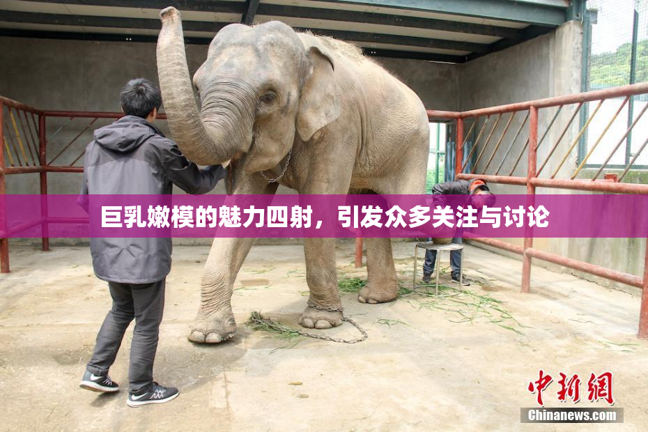 巨乳嫩模的魅力四射，引发众多关注与讨论