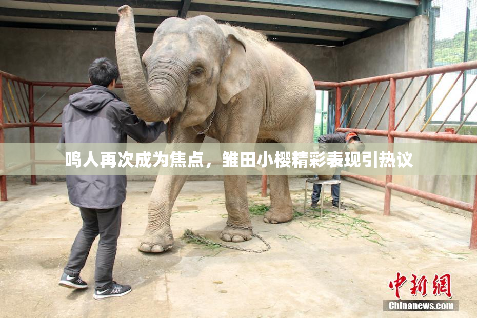 鸣人再次成为焦点，雏田小樱精彩表现引热议
