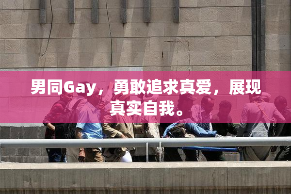 男同Gay，勇敢追求真爱，展现真实自我。