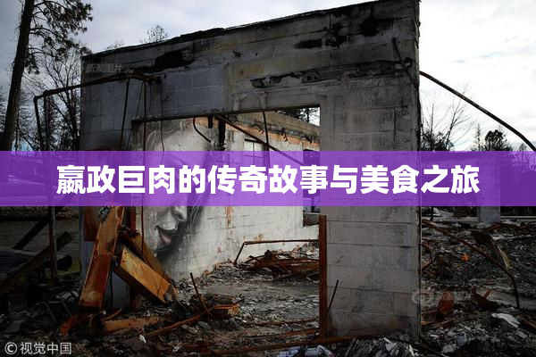 嬴政巨肉的传奇故事与美食之旅