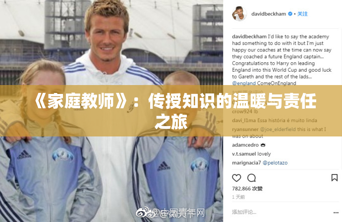 《家庭教师》：传授知识的温暖与责任之旅