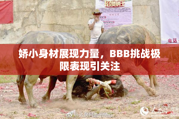 娇小身材展现力量，BBB挑战极限表现引关注