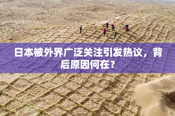 日本被外界广泛关注引发热议，背后原因何在？