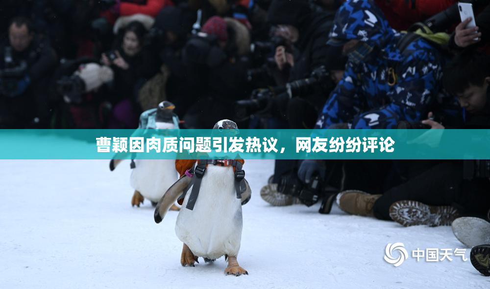 曹颖因肉质问题引发热议，网友纷纷评论