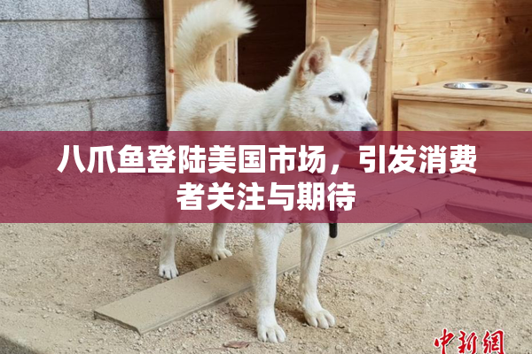 八爪鱼登陆美国市场，引发消费者关注与期待