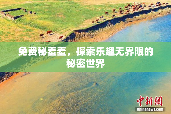 免费秘羞羞，探索乐趣无界限的秘密世界