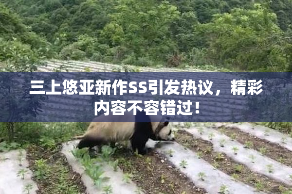三上悠亚新作SS引发热议，精彩内容不容错过！