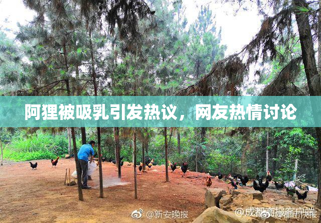 阿狸被吸乳引发热议，网友热情讨论