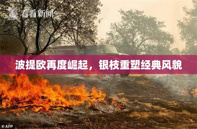 波提欧再度崛起，银枝重塑经典风貌