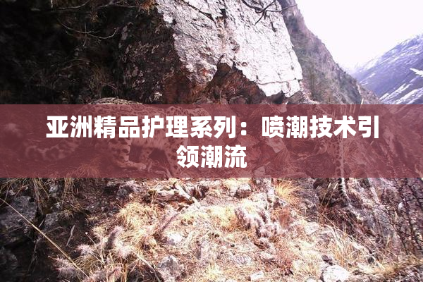亚洲精品护理系列：喷潮技术引领潮流