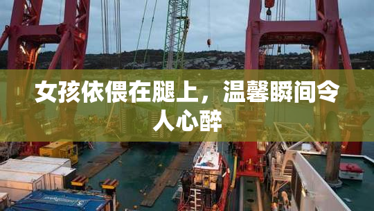 女孩依偎在腿上，温馨瞬间令人心醉