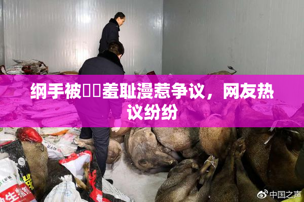 纲手被❌‌羞耻漫惹争议，网友热议纷纷