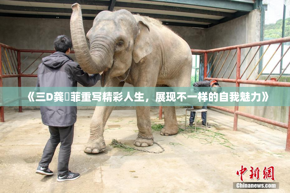《三D龚玥菲重写精彩人生，展现不一样的自我魅力》