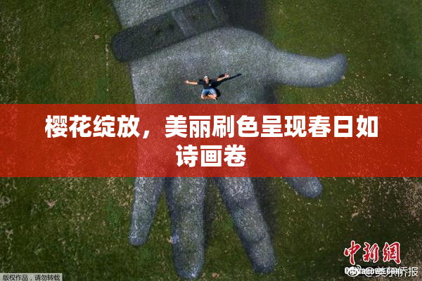 樱花绽放，美丽刷色呈现春日如诗画卷