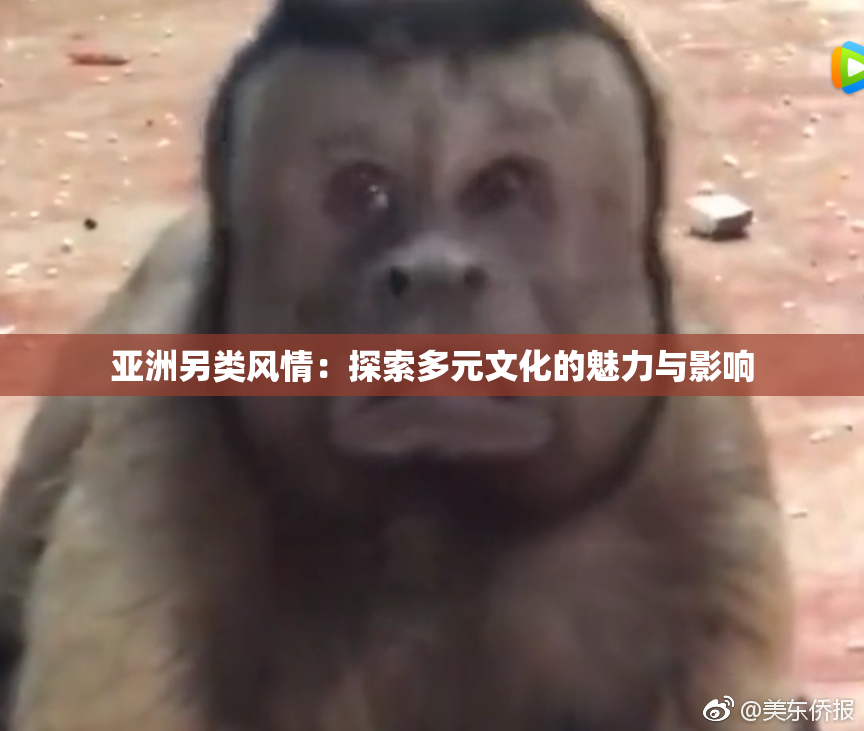 亚洲另类风情：探索多元文化的魅力与影响