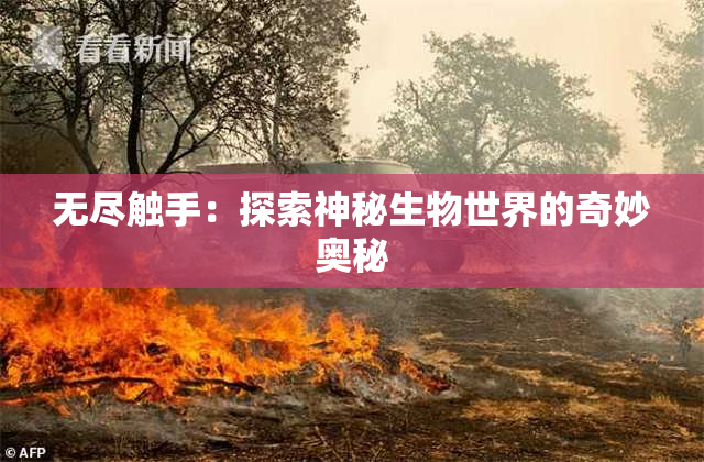 无尽触手：探索神秘生物世界的奇妙奥秘