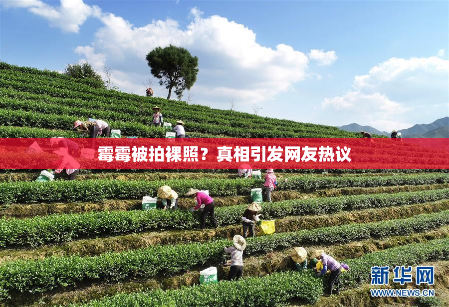 霉霉被拍裸照？真相引发网友热议