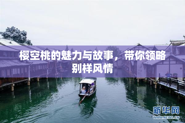 樱空桃的魅力与故事，带你领略别样风情