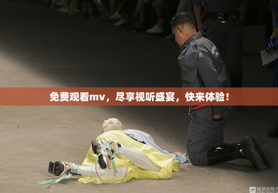 免费观看mv，尽享视听盛宴，快来体验！