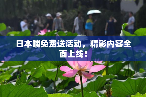 日本哺免费送活动，精彩内容全面上线！