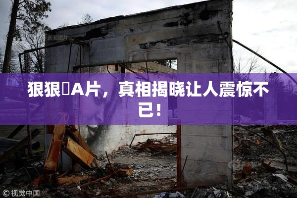 狠狠穞A片，真相揭晓让人震惊不已！