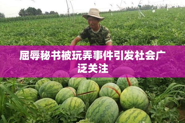 屈辱秘书被玩弄事件引发社会广泛关注